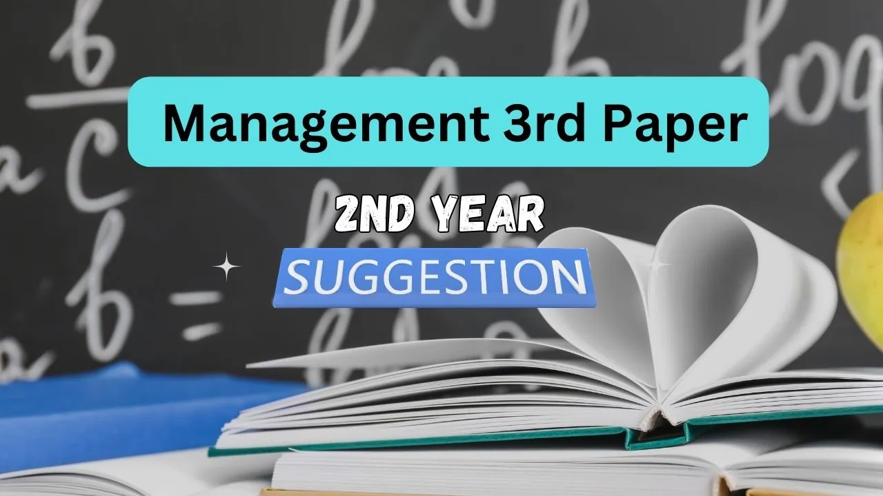 Management 3rd Paper suggestion