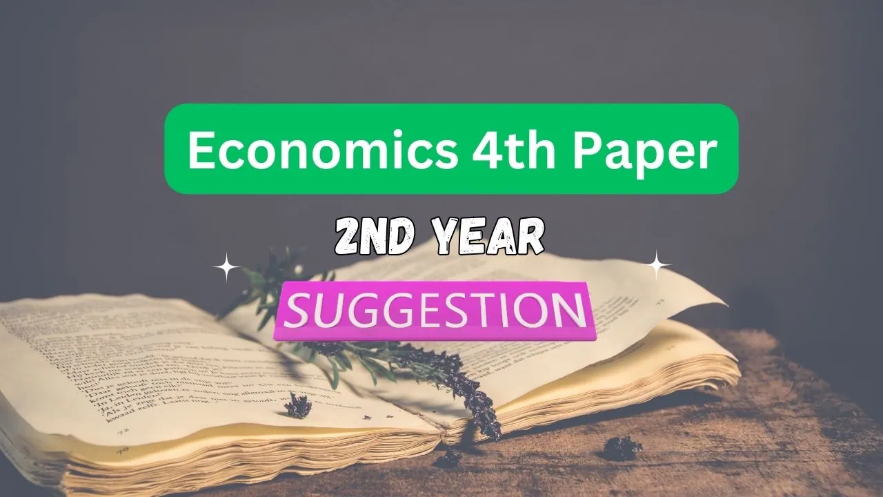 Economics 4th year suggestion